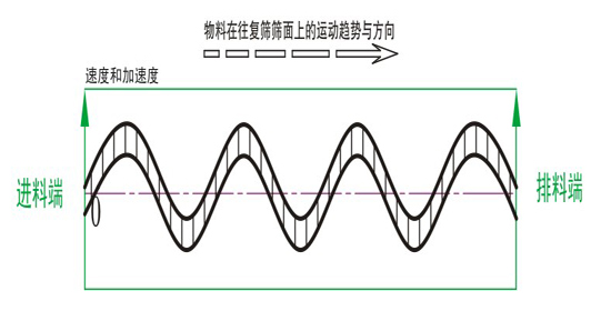 精密回旋篩物料運(yùn)行軌跡